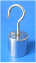 Weights with Hook 100g Weights with Hook 100g